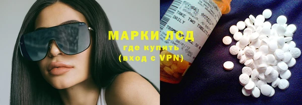 трава Магас