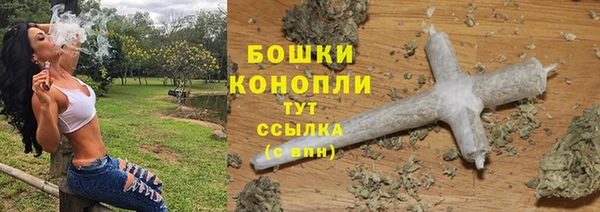 трава Магас