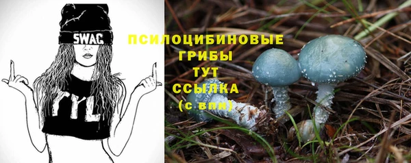 трава Магас